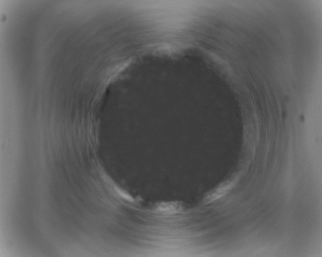 X0000066120624200603171755