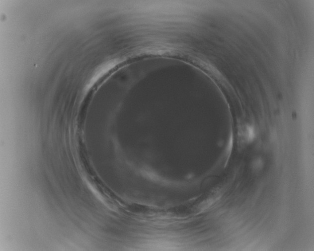 X0000066120626200603171754