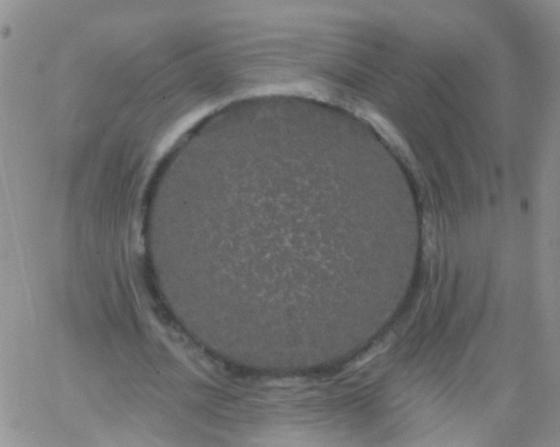 X0000066120628200603171755