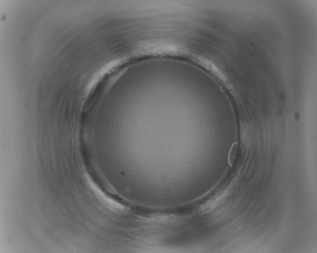 X0000066120629200603171755