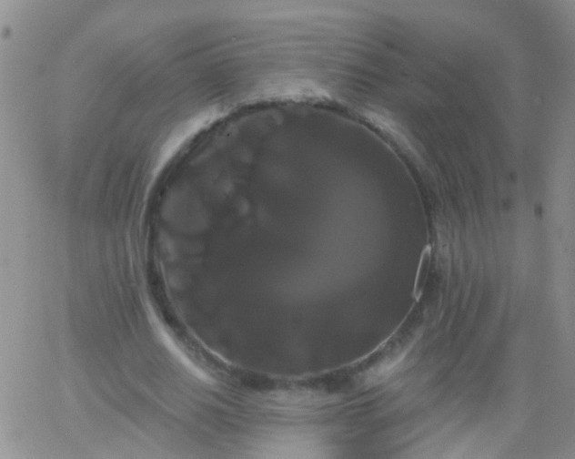 X0000066120630200603171755