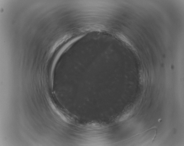 X0000066120634200603171755