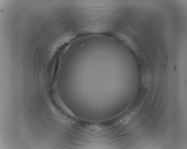 X0000066120635200603171755