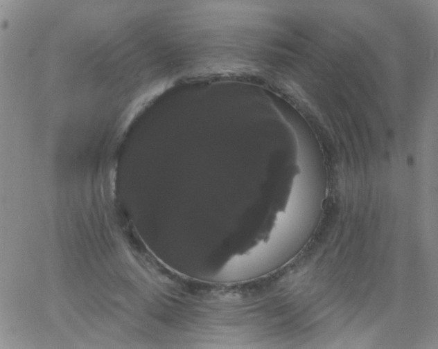 X0000066120640200603171755