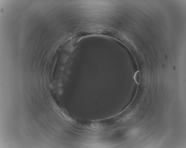 X0000066120641200603171755