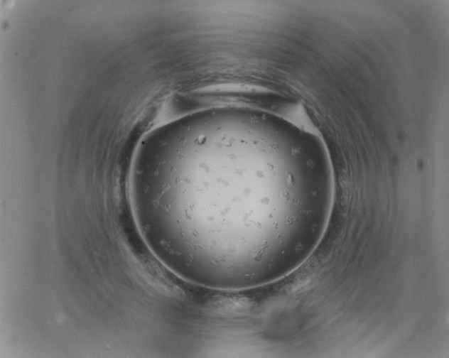 X0000066120642200603171755