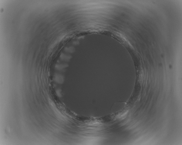 X0000066120643200603171755