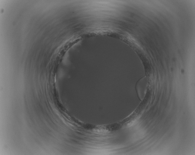 X0000066120644200603171755