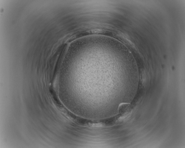 X0000066120645200603171755