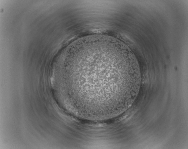 X0000066120646200603171755