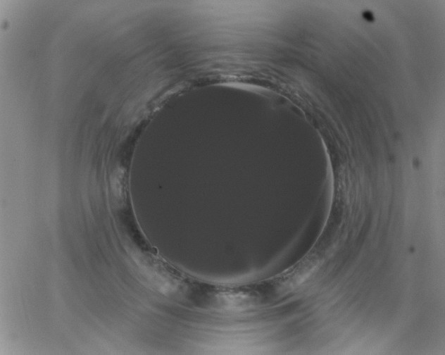 X0000066120650200603171755