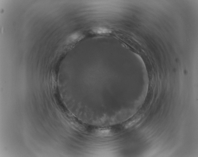 X0000066120651200603171755