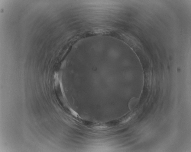 X0000066120653200603171755