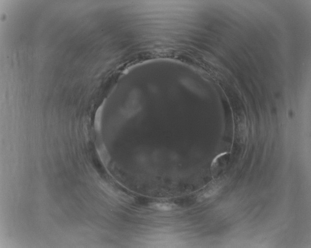 X0000066120654200603171755