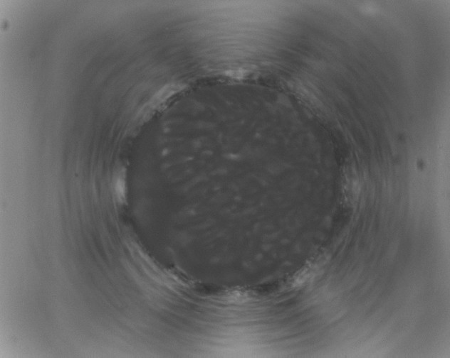 X0000066120656200603171755