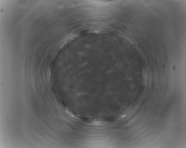 X0000066120657200603171755