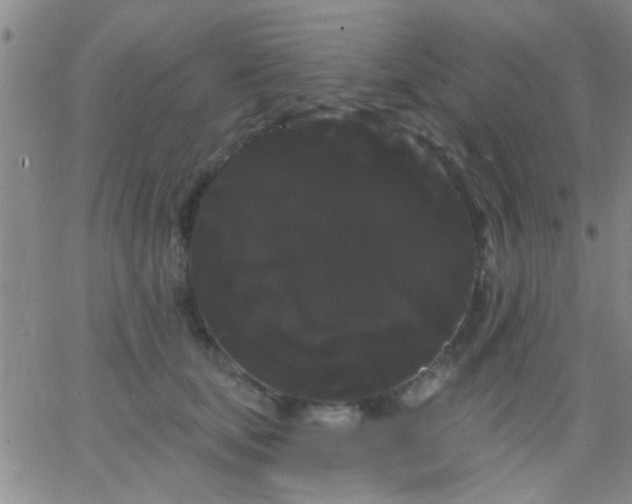 X0000066120659200603171755