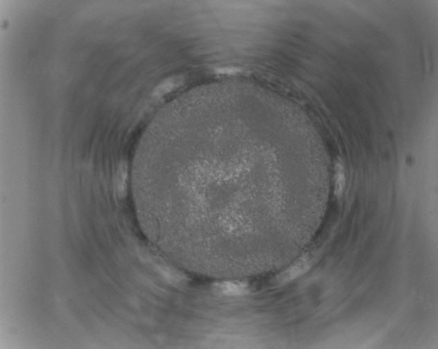 X0000066120660200603171755