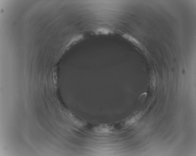 X0000066120661200603171755