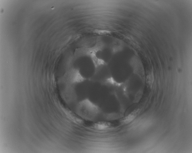 X0000066120662200603171755