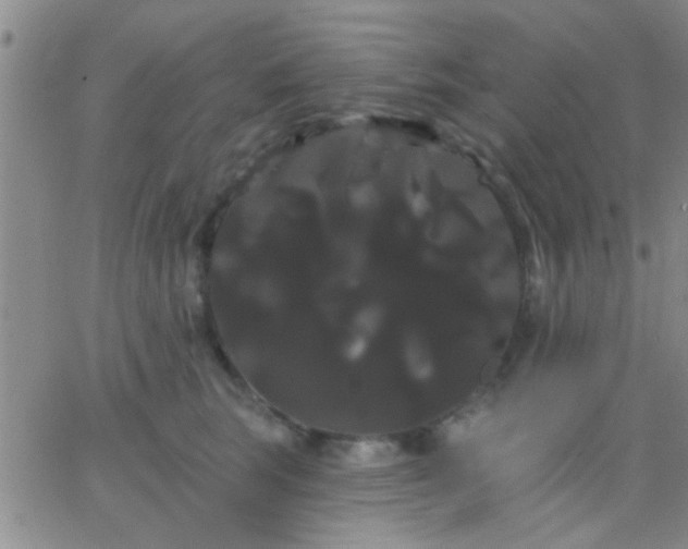 X0000066120663200603171755