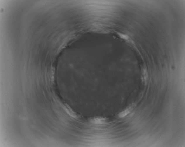 X0000066120664200603171755