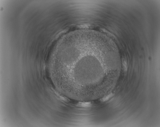 X0000066120665200603171755