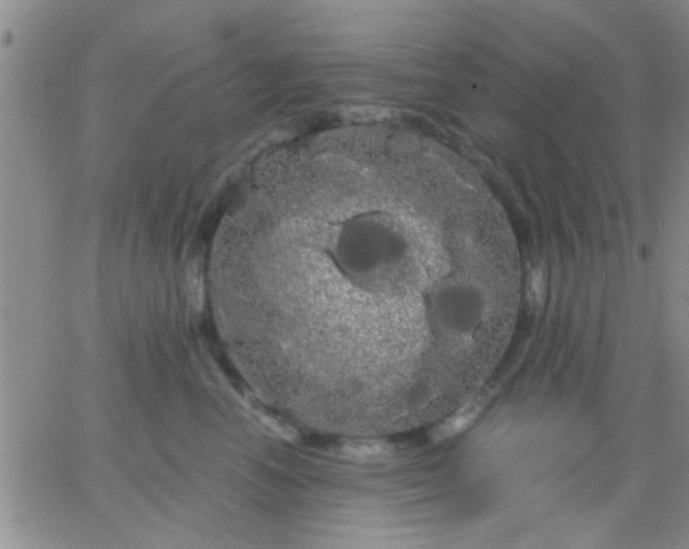 X0000066120666200603171755