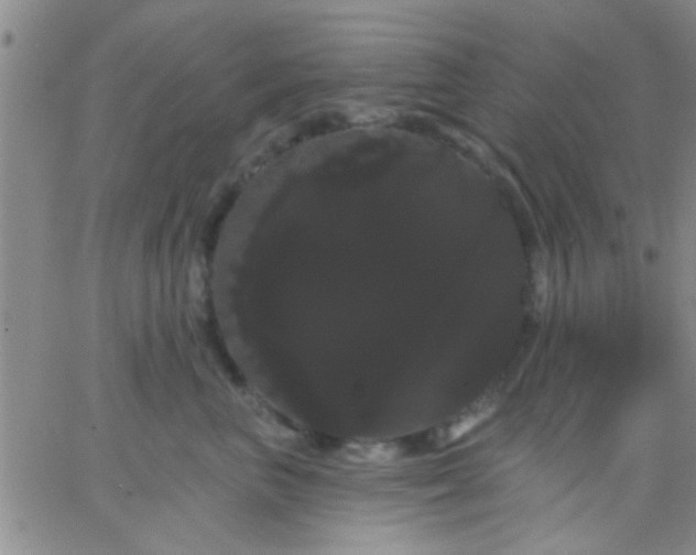 X0000066120667200603171755