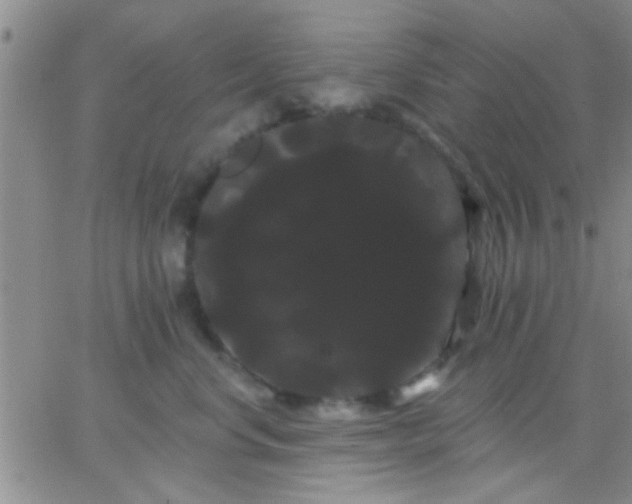 X0000066120668200603171755