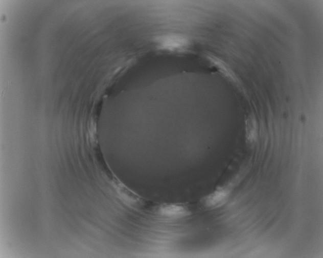 X0000066120669200603171755