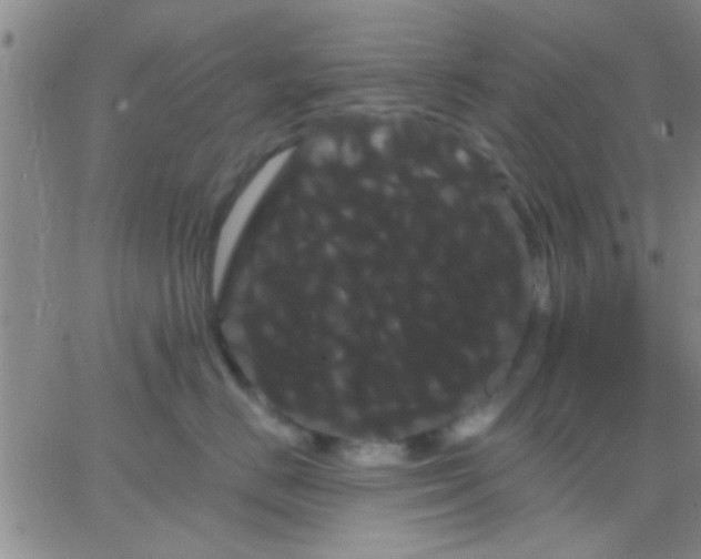 X0000066120670200603171755