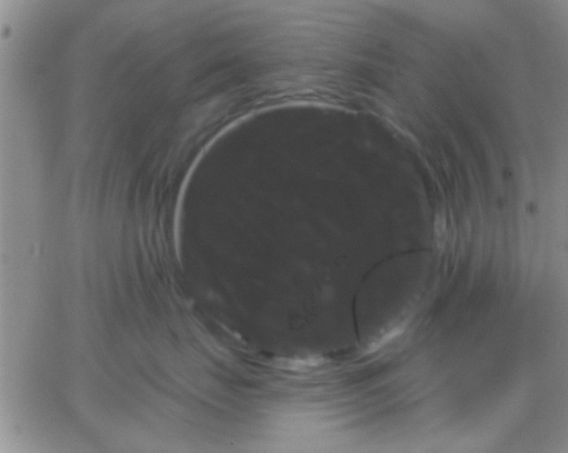 X0000066120671200603171755