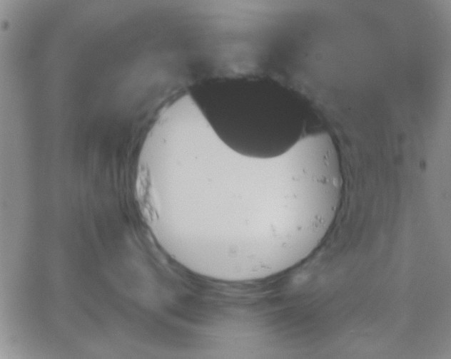 X0000066120672200603171755