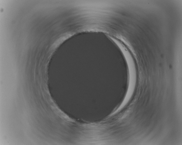 X0000066120673200603171754