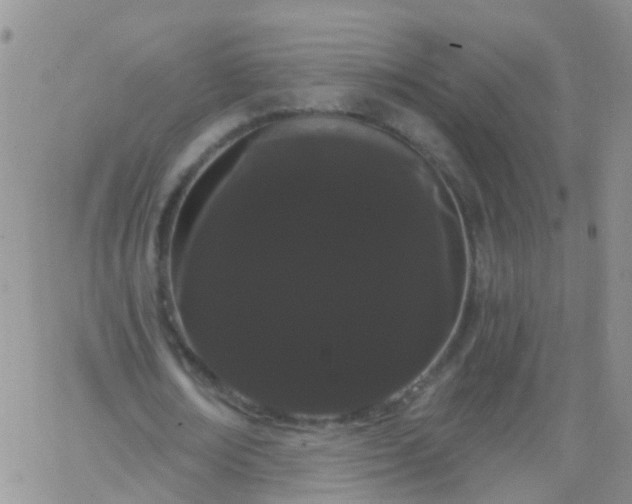 X0000066120674200603171754