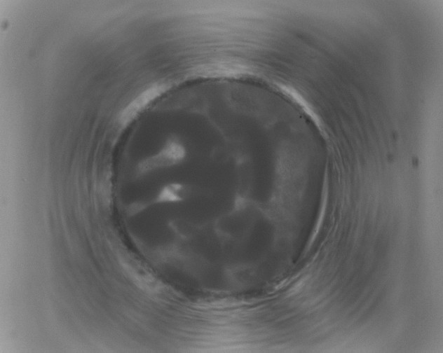 X0000066120675200603171754