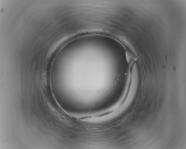 X0000066120676200603171754