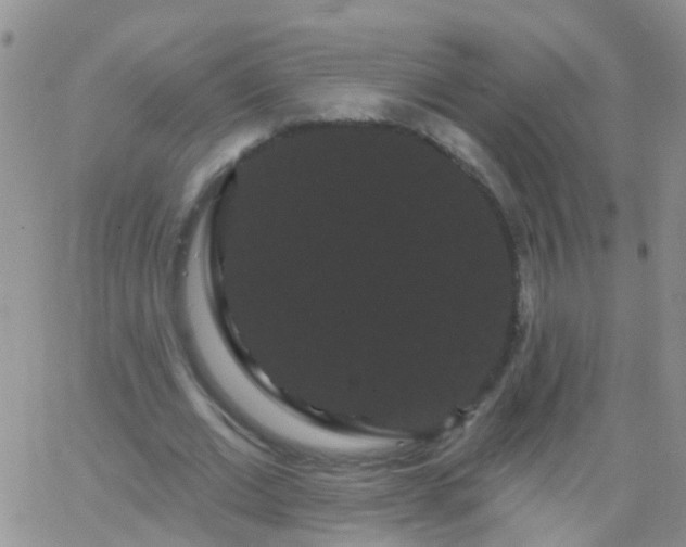 X0000066120677200603171754