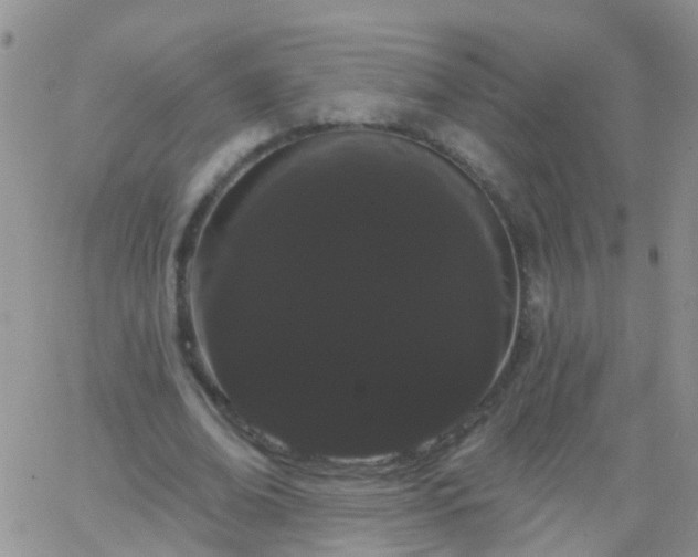 X0000066120678200603171754