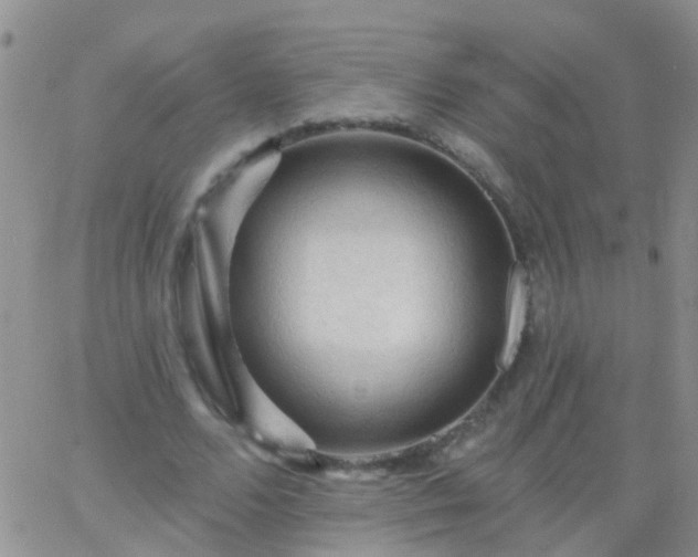 X0000066120680200603171754