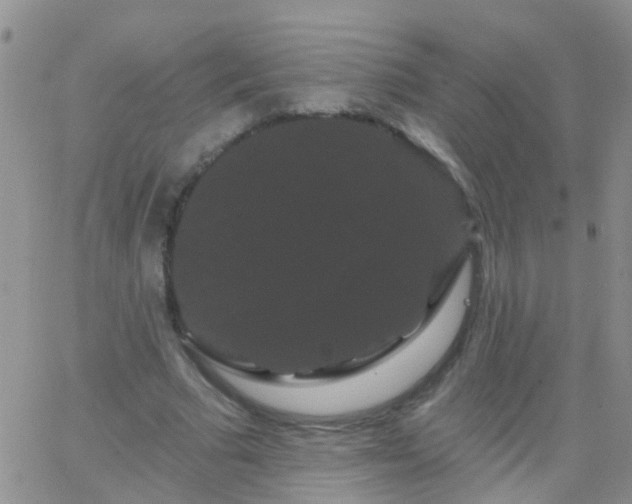 X0000066120681200603171754