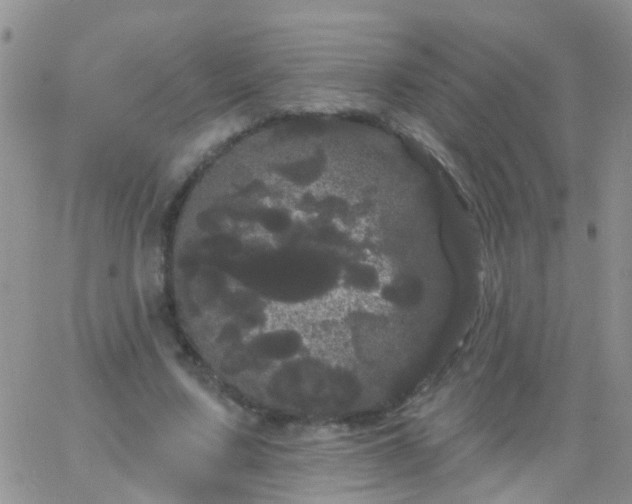 X0000066120683200603171754