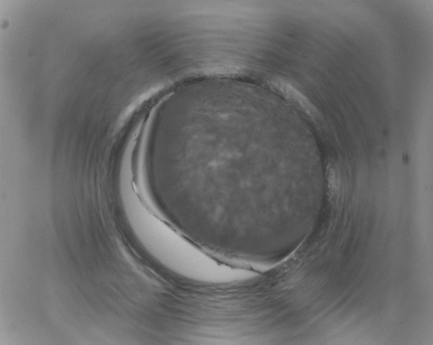 X0000066120684200603171754