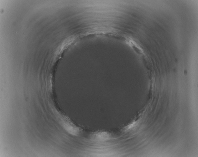 X0000066120685200603171754