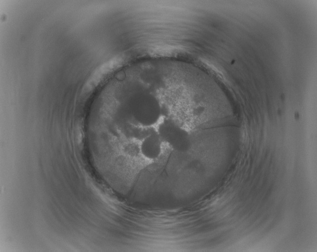 X0000066120687200603171754