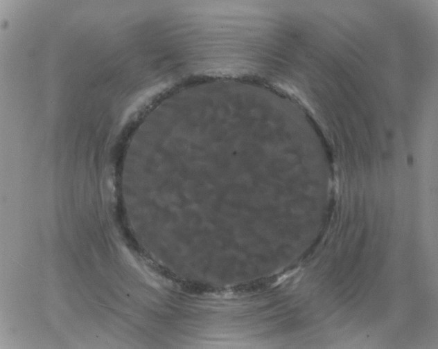 X0000066120688200603171754