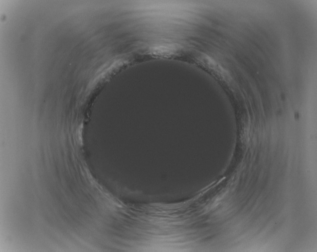 X0000066120689200603171754