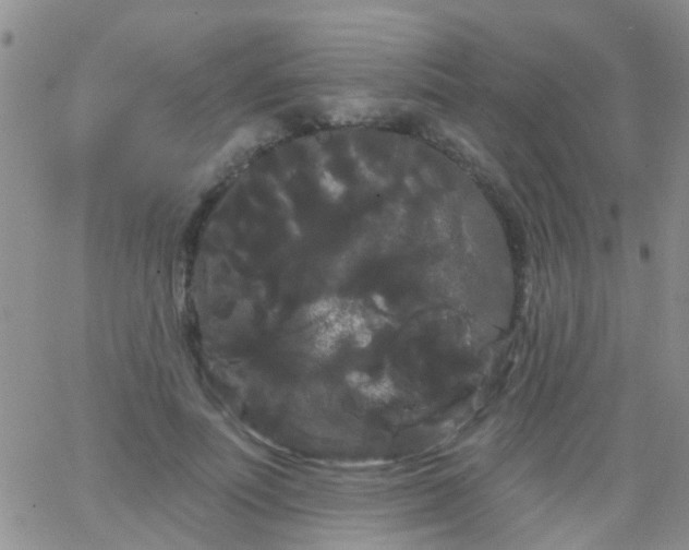 X0000066120691200603171754