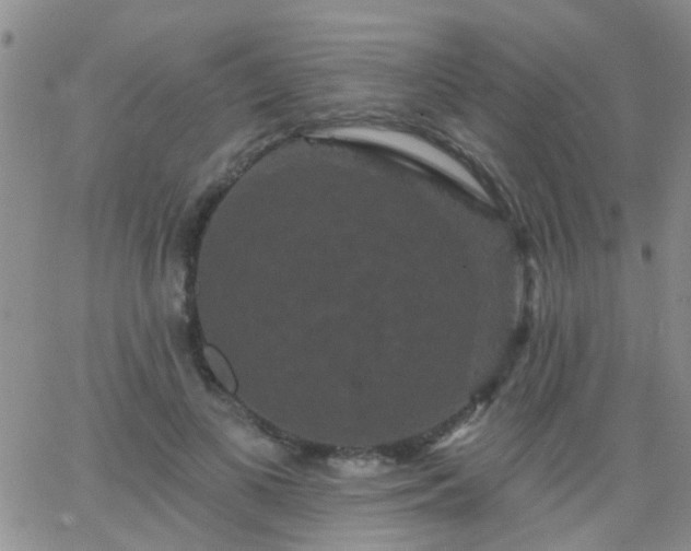 X0000066120693200603171754